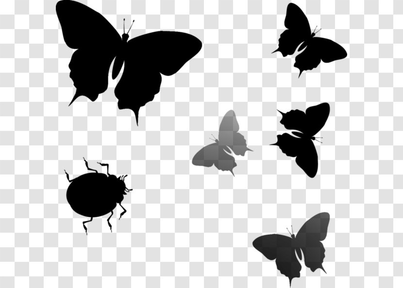 Brush-footed Butterflies Insect Font Fauna Silhouette - Lycaenid - Blackandwhite Transparent PNG