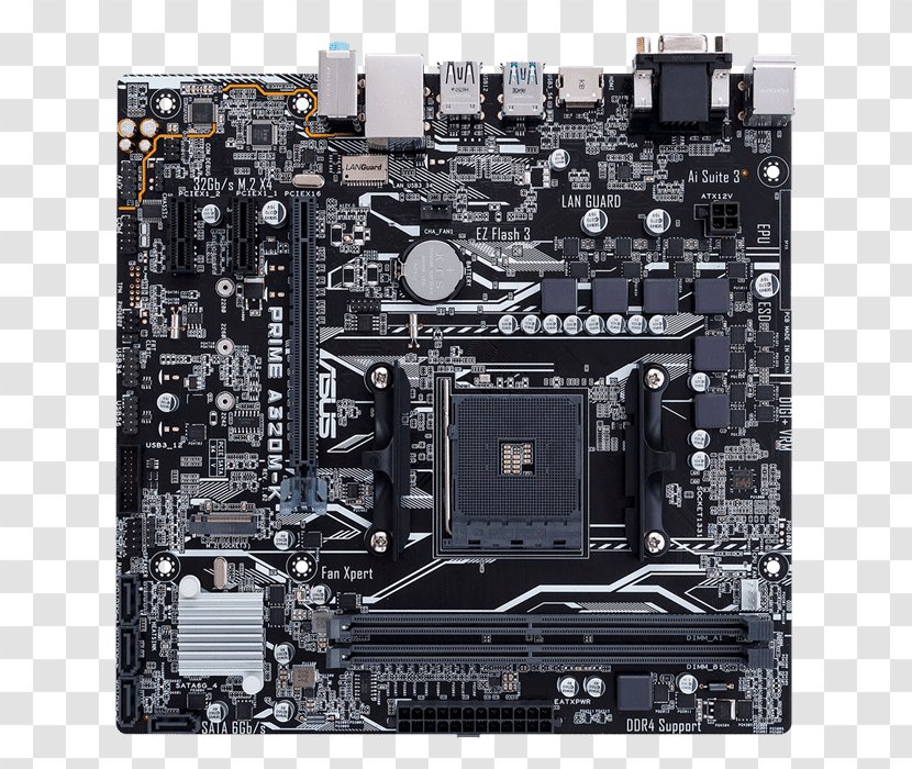 Socket AM4 Motherboard MicroATX ASUS PRIME A320M-K Ryzen - Advanced Micro Devices - Computer Transparent PNG