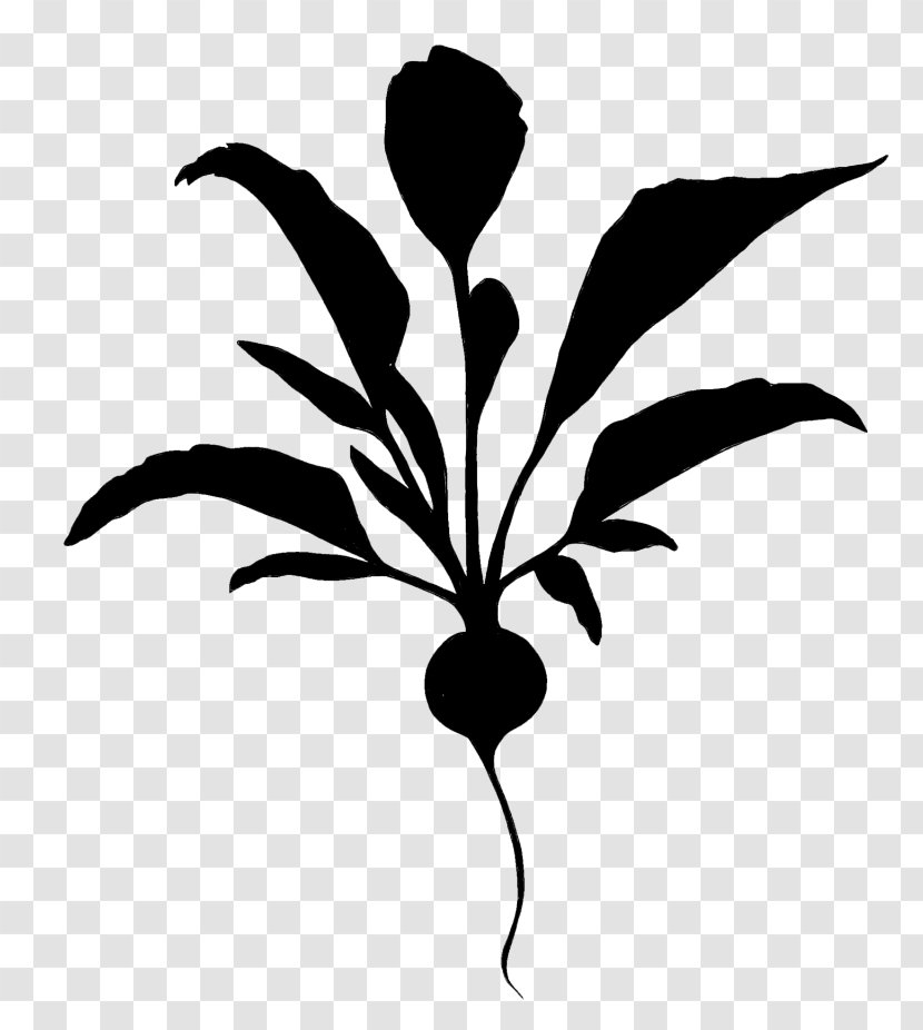 Clip Art Flower Leaf Plant Stem Silhouette - Flowering - Blackandwhite Transparent PNG