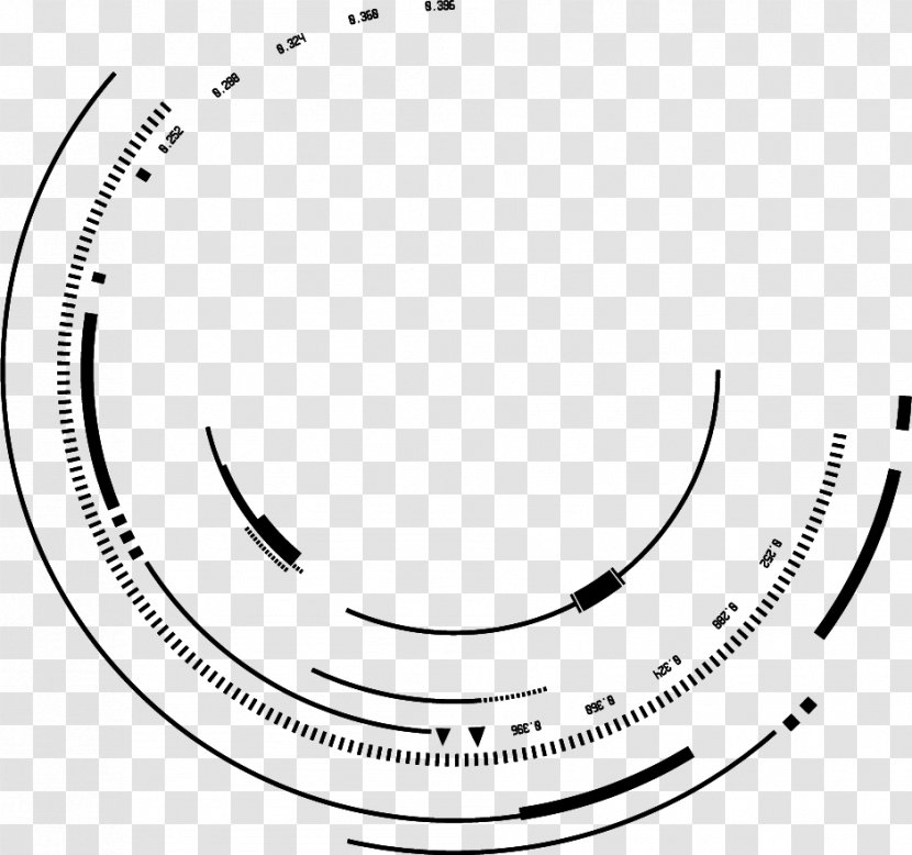 Creative Ink Lines Of Psd Material,Geometric Circle Swirl Technological Sense - Geometry - Monochrome Transparent PNG