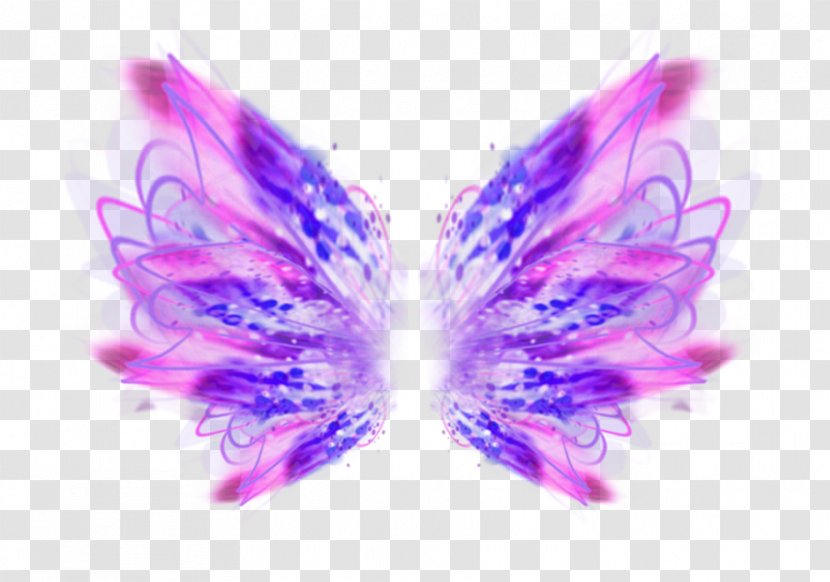 Desktop Wallpaper Computer Feather - Moths And Butterflies Transparent PNG