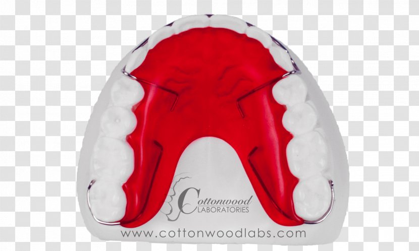Laboratory Retainer Jaw Welding Tray - Heart - Cartoon Transparent PNG