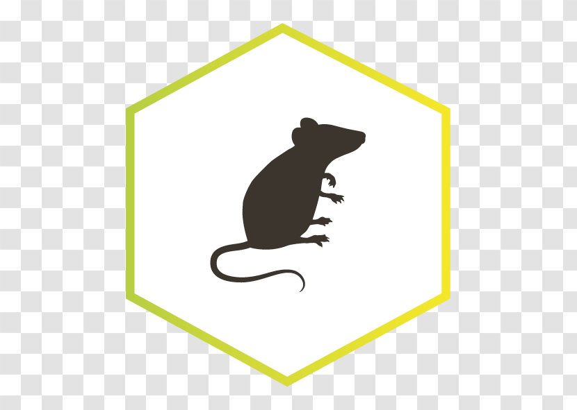 Rat Rodent ネズミ Silhouette Transparent PNG