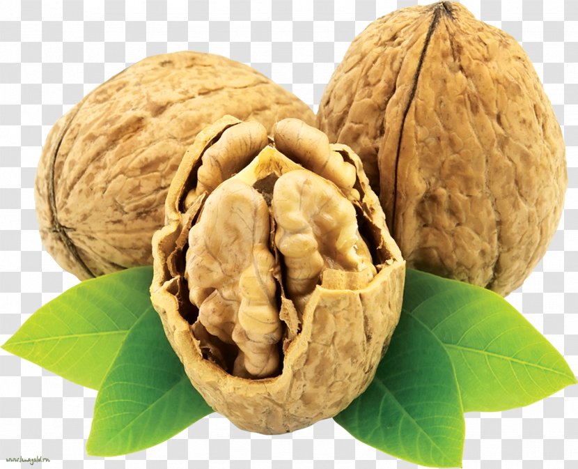 English Walnut Eastern Black Nuts - Dried Fruit Transparent PNG