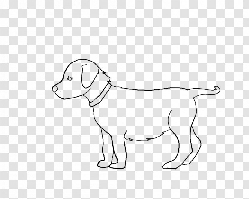 Labrador Retriever Dog Breed Puppy Sporting Group Transparent PNG