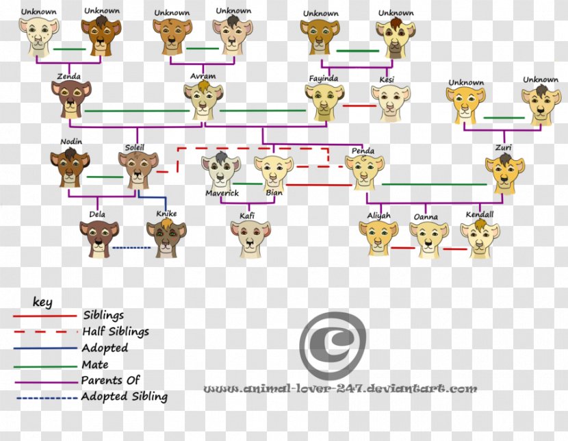 Family Tree Animal Child Drawing - Offspring Transparent PNG