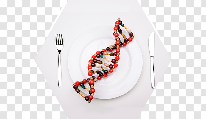 Low-fat Diet Genetic Testing DNA Nutrition - Food - Fitness Resort Transparent PNG