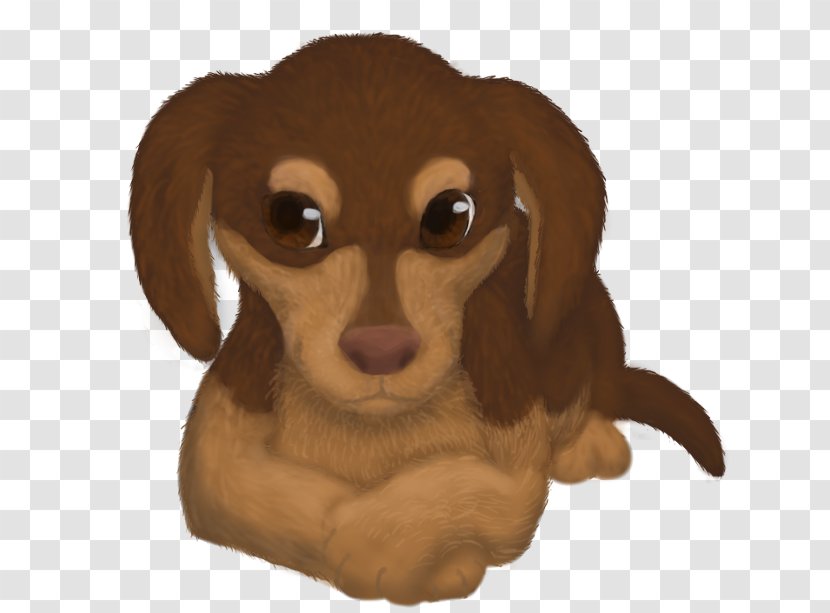 Dog Breed Puppy Love Dachshund Companion Transparent PNG