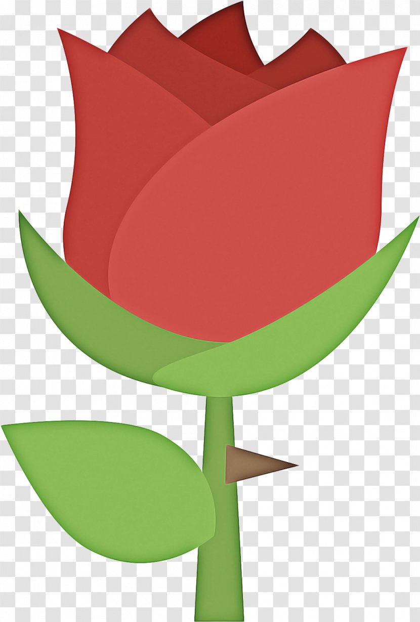 Lily Flower Cartoon - Art Emoji - Anthurium Petal Transparent PNG