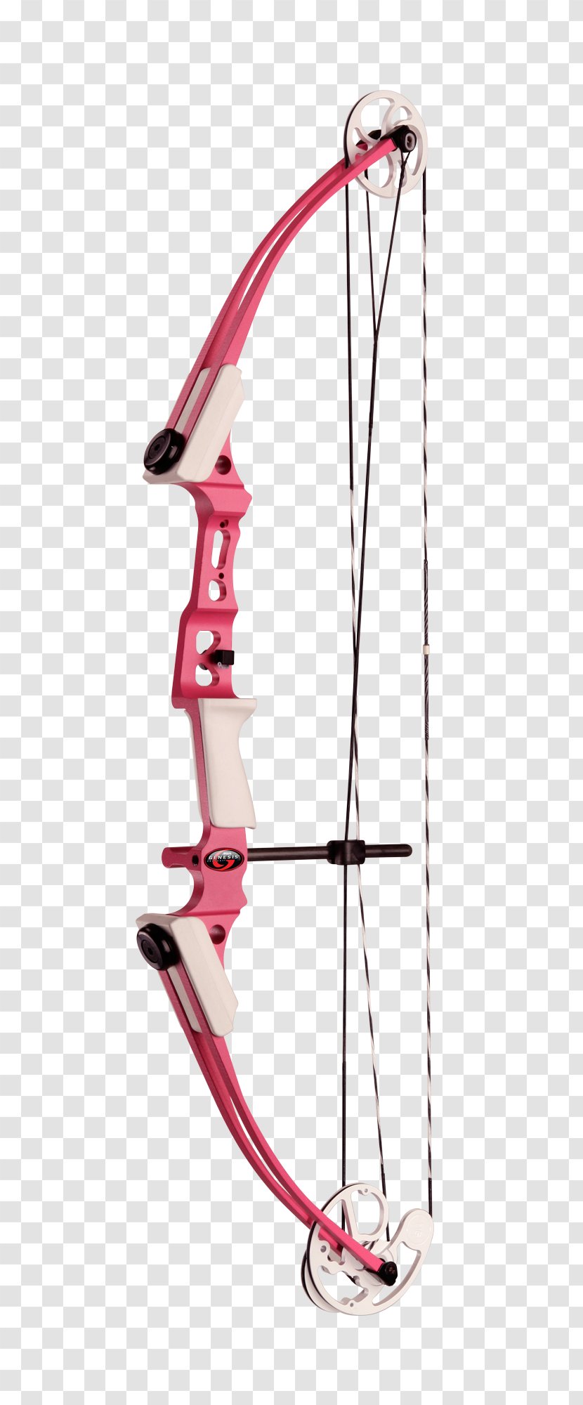 Compound Bows Bow And Arrow Archery Hunting - Sports Equipment Transparent PNG