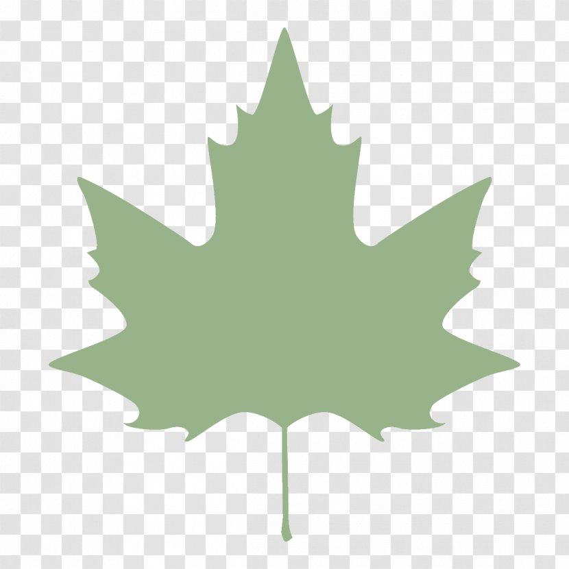 Maple Leaf - Black - Holly Transparent PNG