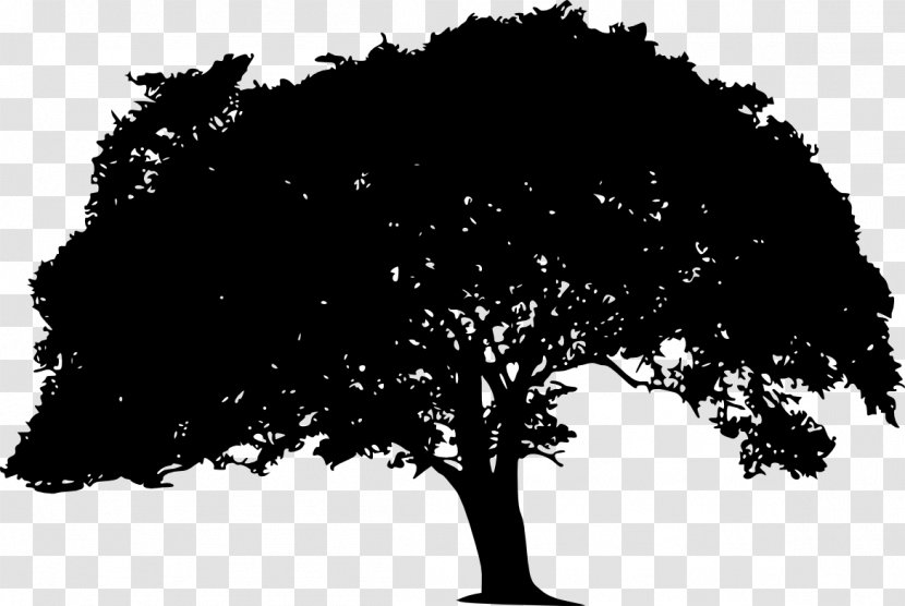 Clip Art Transparency Image Tree - Silhouette Transparent PNG