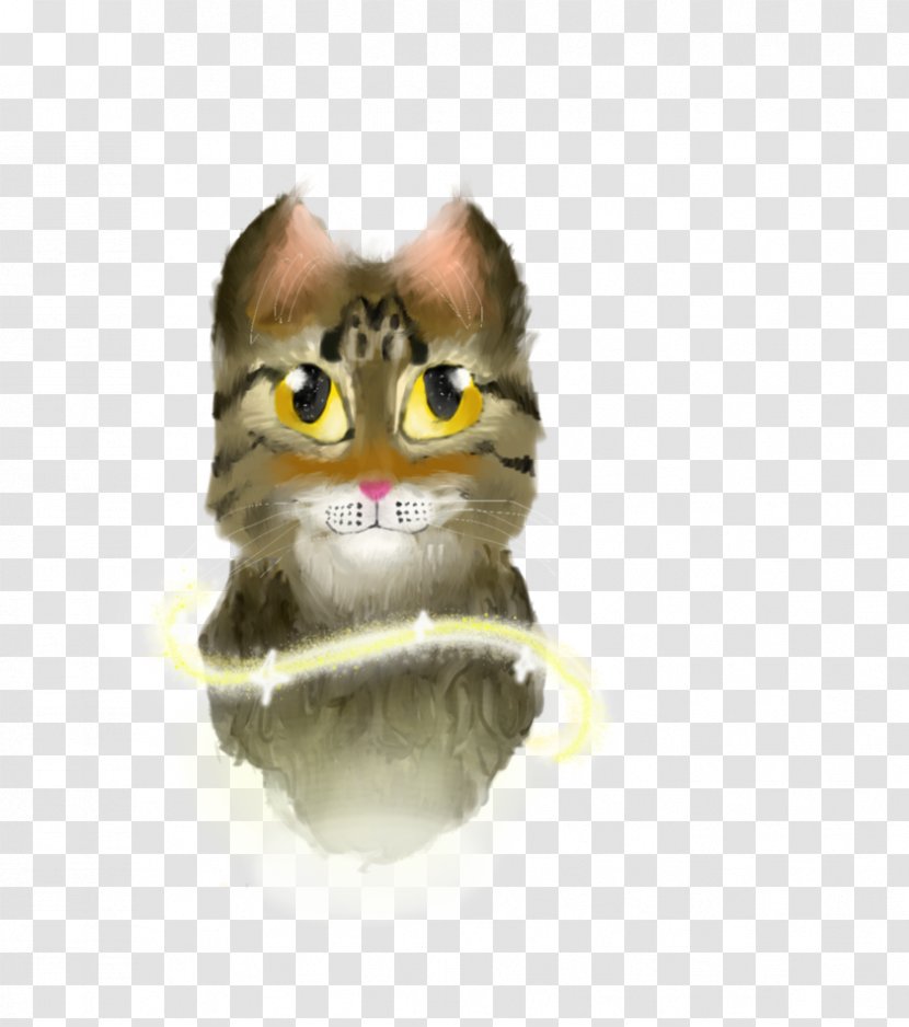 Whiskers Kitten Snout - Mammal Transparent PNG