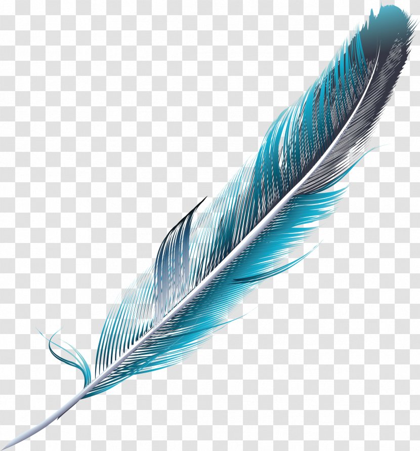 Feather Green Blue - Teal - Slender Blue-green Feathers Transparent PNG