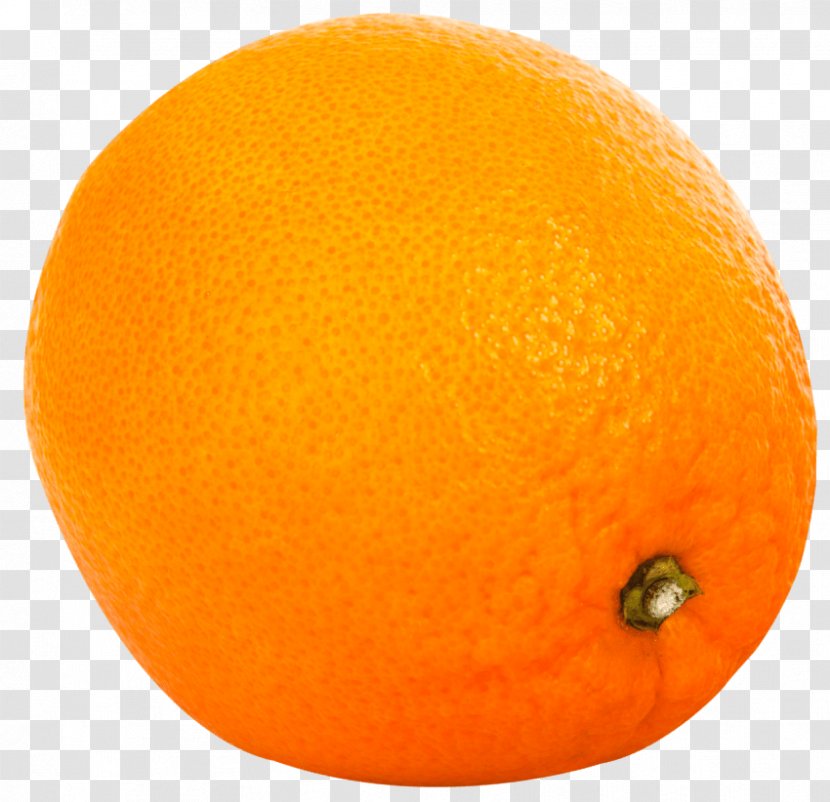 Clementine Orange Juice Valencia Mandarin Tangerine - Grapefruit Transparent PNG