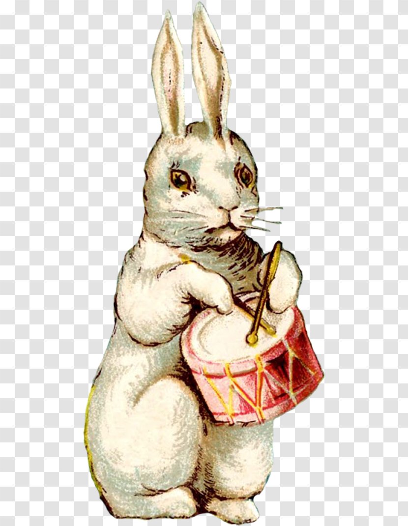 Easter Bunny Postcard Rabbit Egg - Tree Transparent PNG