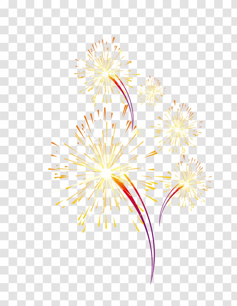 Petal Text Illustration - Flowering Plant - Fireworks Transparent PNG