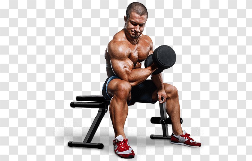 Fitness Centre Exercise Personal Trainer Physical JH Training - Flower - Private TrainingDumbbell Transparent PNG