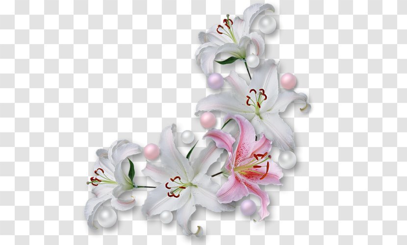 Easter Lily Flower Clip Art - Pink - Chinese Wedding Transparent PNG