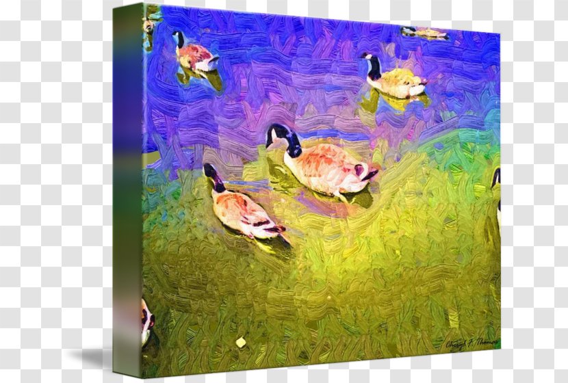 Duck Painting Fauna Ecosystem Transparent PNG