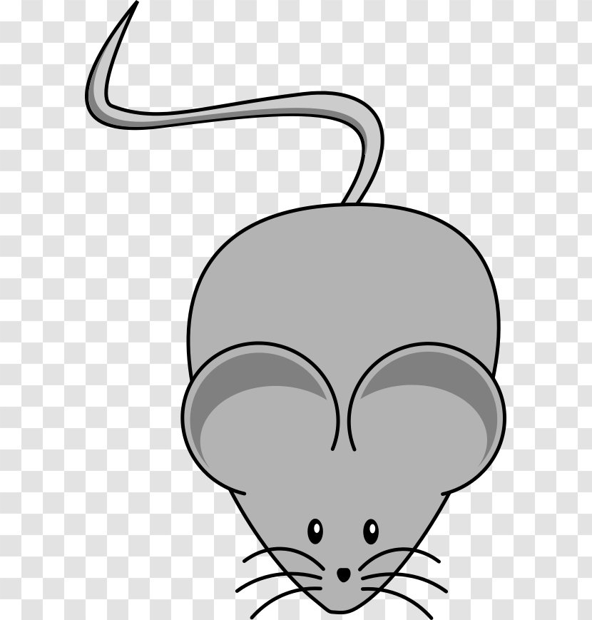 Rat Mouse Whiskers Cat Clip Art - Flower Transparent PNG