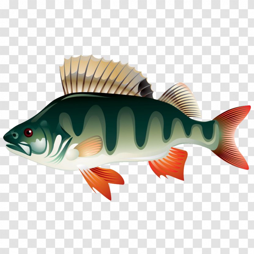 Watercolor Painting Cartoon Illustrator Illustration - Seafood - Cute Little Fish Transparent PNG