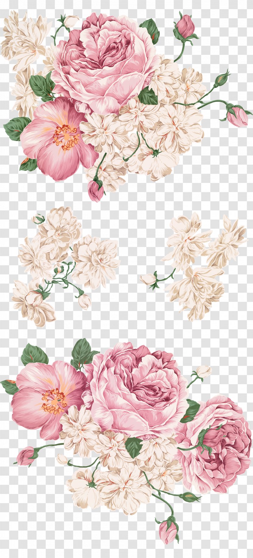 Peony Drawing Painting - Blossom - Hand-painted Transparent PNG
