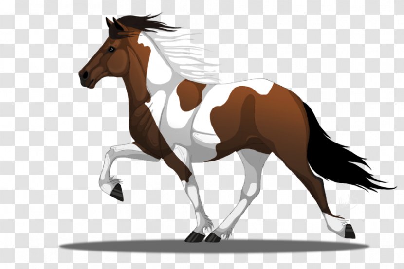 Pony Foal Icelandic Horse Mustang Stallion - Equestrian Sport Transparent PNG
