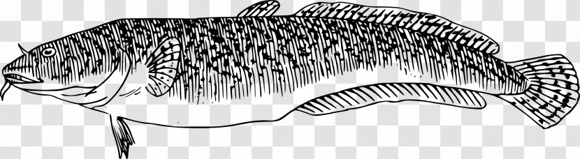 Clip Art - Artwork - Fish Transparent PNG