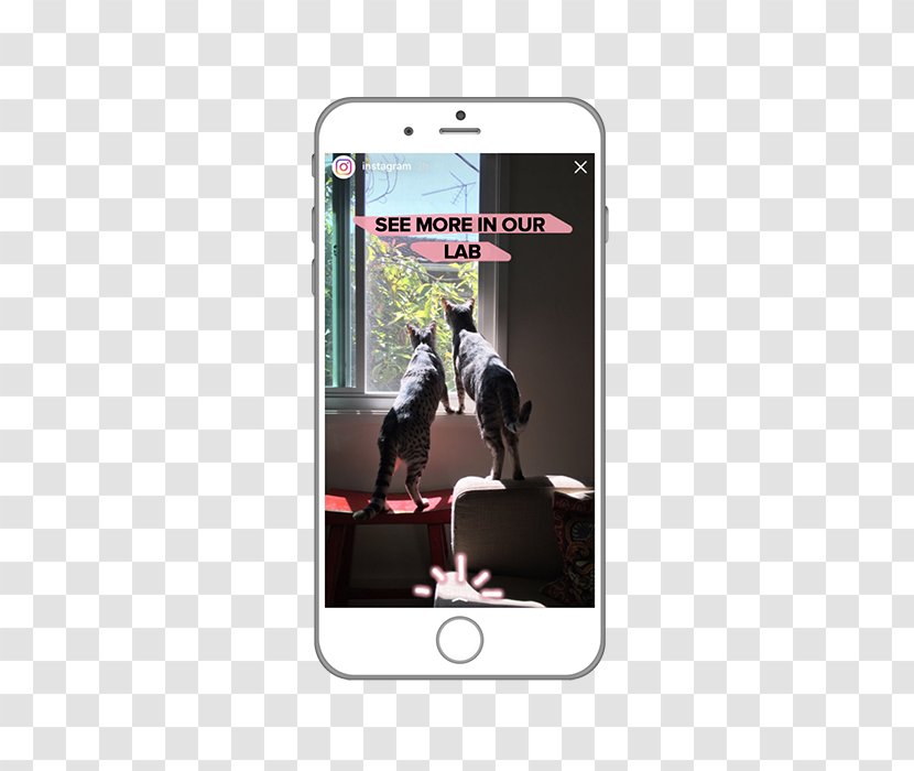 Snapchat Live Commerce Blog Boomerang - Telephony - Photography Transparent PNG