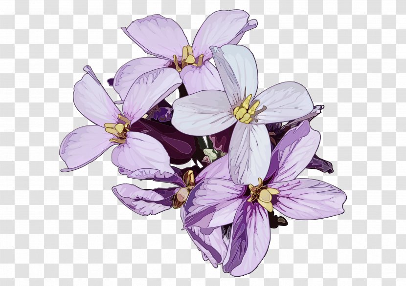 Lavender - Flower - Cut Flowers Transparent PNG
