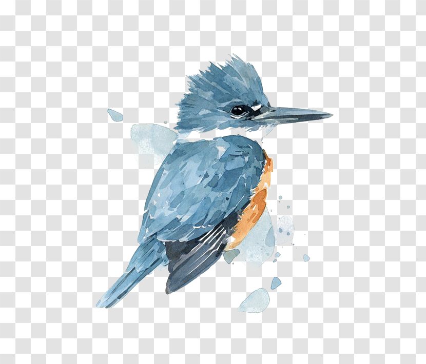 Watercolor Painting Belted Kingfisher Drawing - Blue Birds Transparent PNG