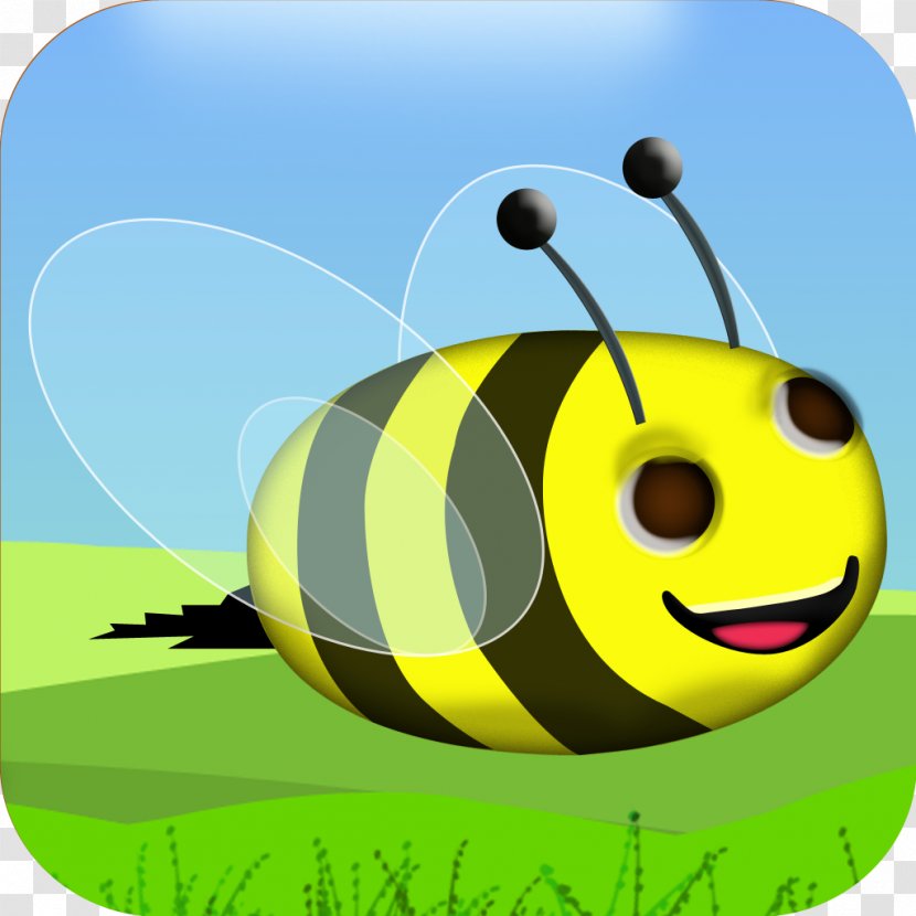 Insect Honey Bee Pollinator - Invertebrate - Venkateswara Transparent PNG