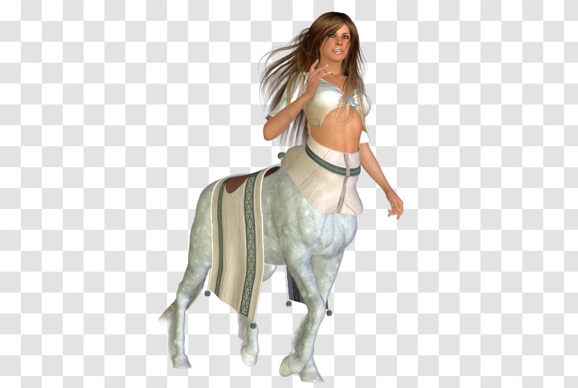 Mustang Outerwear Freikörperkultur Costume Horse - Joint Transparent PNG