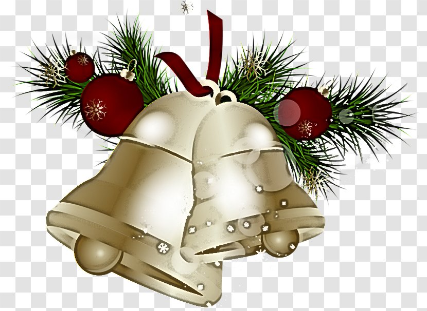 Christmas Ornament - Bell - Plant Pine Family Transparent PNG
