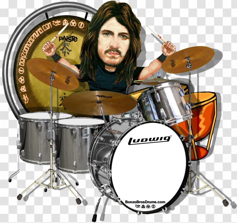 Bass Drums Timbales Tom-Toms Snare - Tree Transparent PNG
