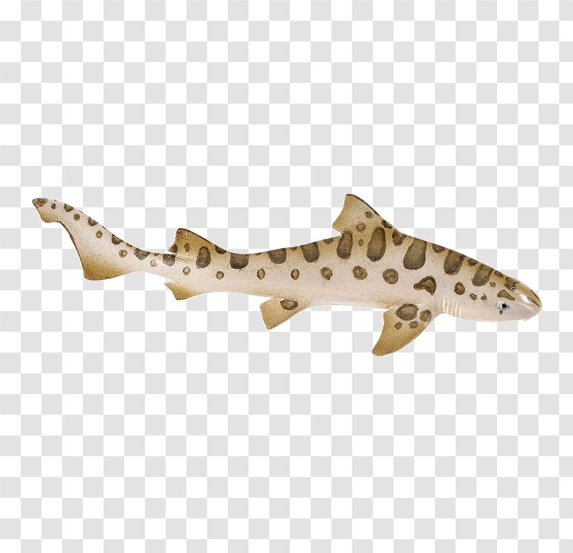 Cartilaginous Fishes Leopard Shark Safari Ltd - Zebra Transparent PNG