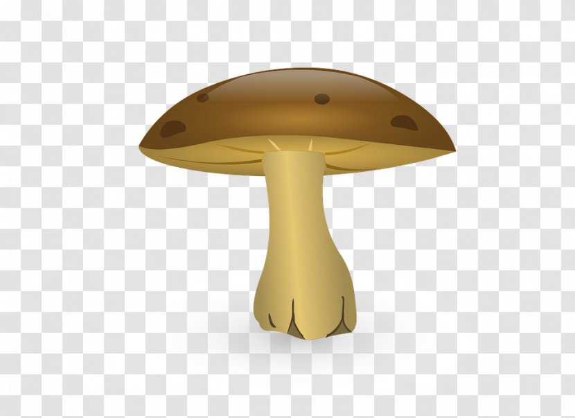 Mushroom Drawing Fungus Cartoon - Table Transparent PNG