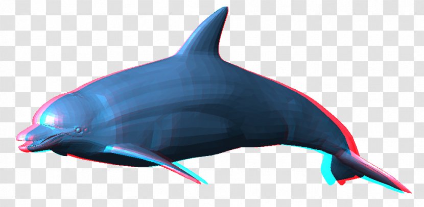 Clip Art Image Dolphin Transparency - Mammal Transparent PNG