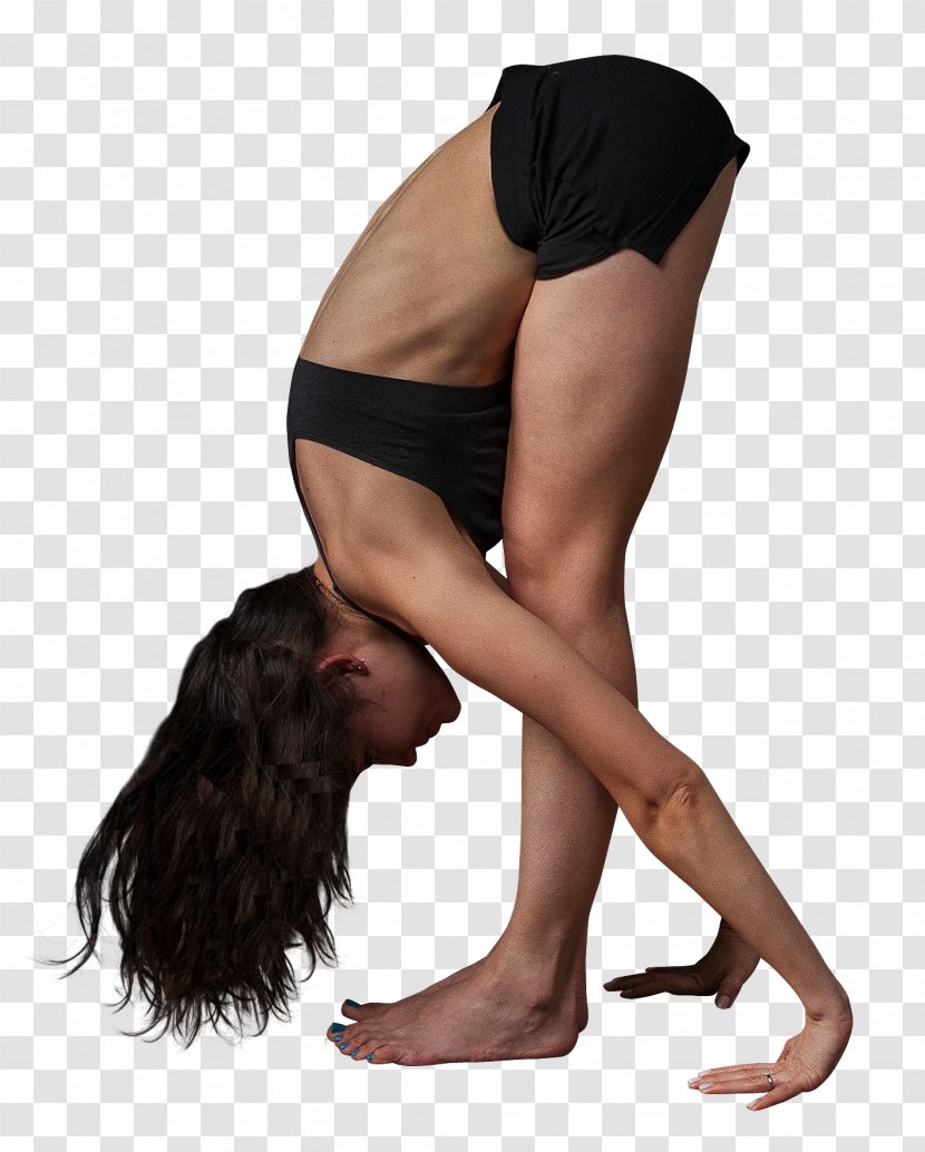 Physical Exercise Yoga - Tree Transparent PNG