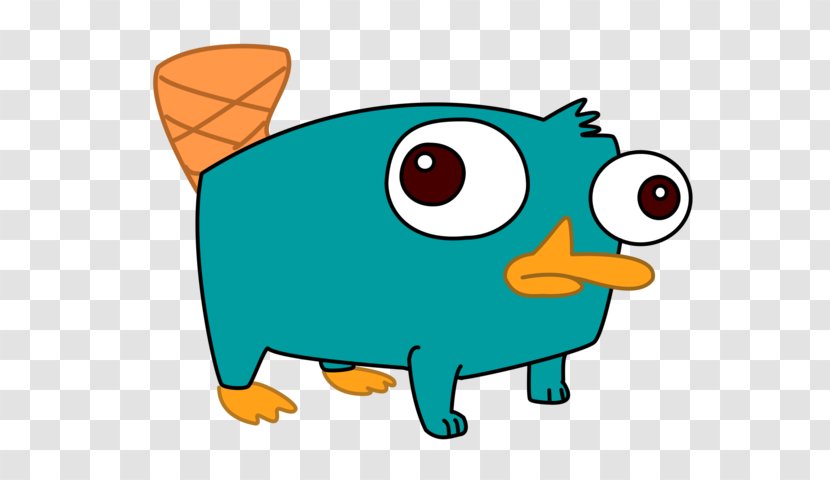 Perry The Platypus Phineas Flynn Ferb Fletcher - Cuteness - Cartoon Transparent PNG