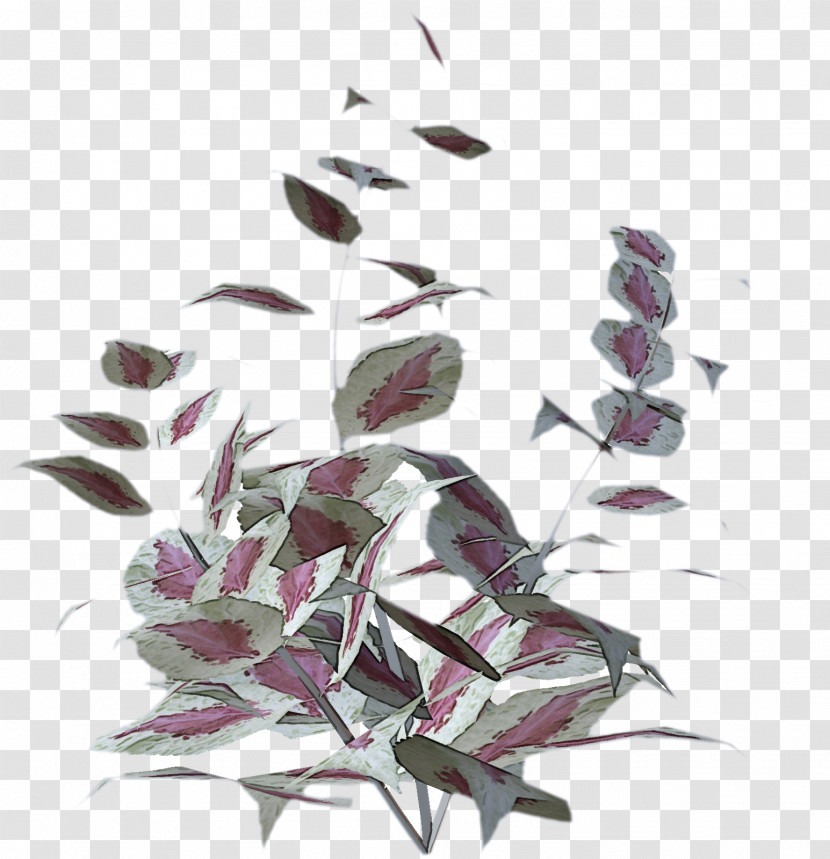 Plant Flower Leaf Transparent PNG