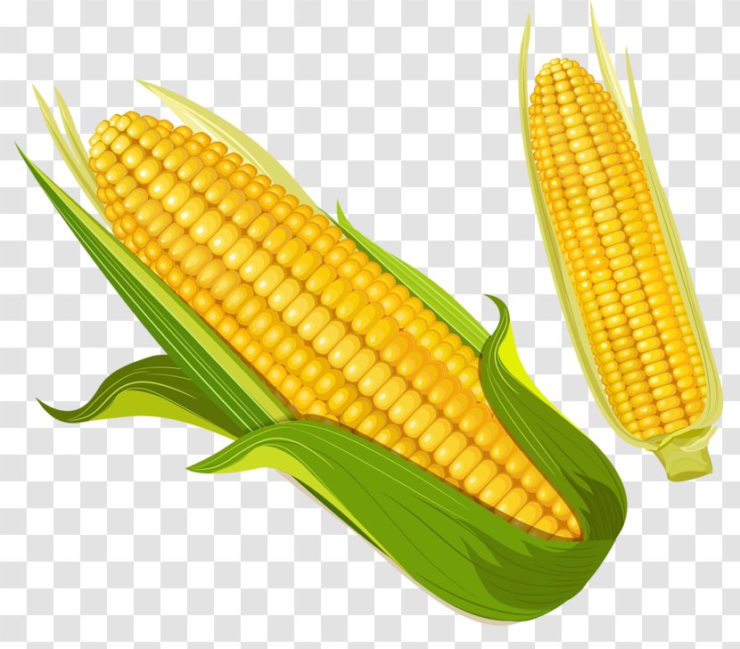 Corn On The Cob Maize Food Kernel - Computer Software - Golden Transparent PNG