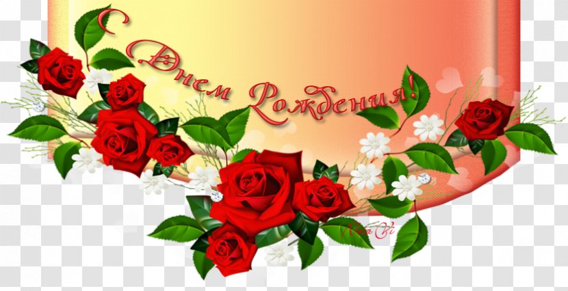 Garden Roses Postavskaya Tsentral'naya Rayonnaya Bol'nitsa Birthday Flower Bouquet Hospital - Floristry Transparent PNG