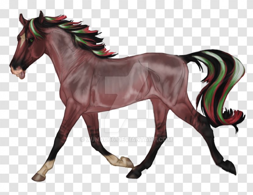 Mustang Foal Stallion Colt Mare - Pack Animal - Sweet Peas Transparent PNG