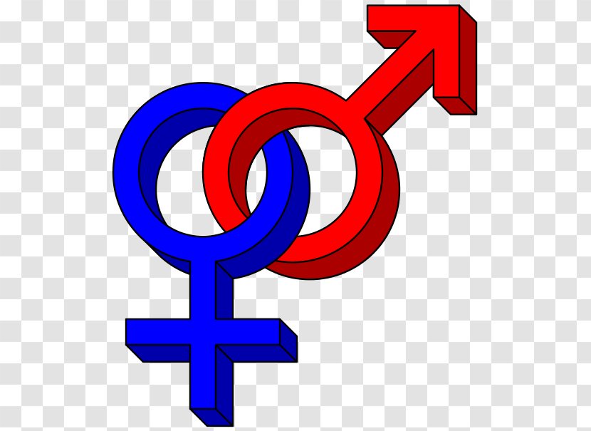 Gender Symbol Heterosexuality Human Male Sexuality LGBT Symbols - Area - Vector Transparent PNG