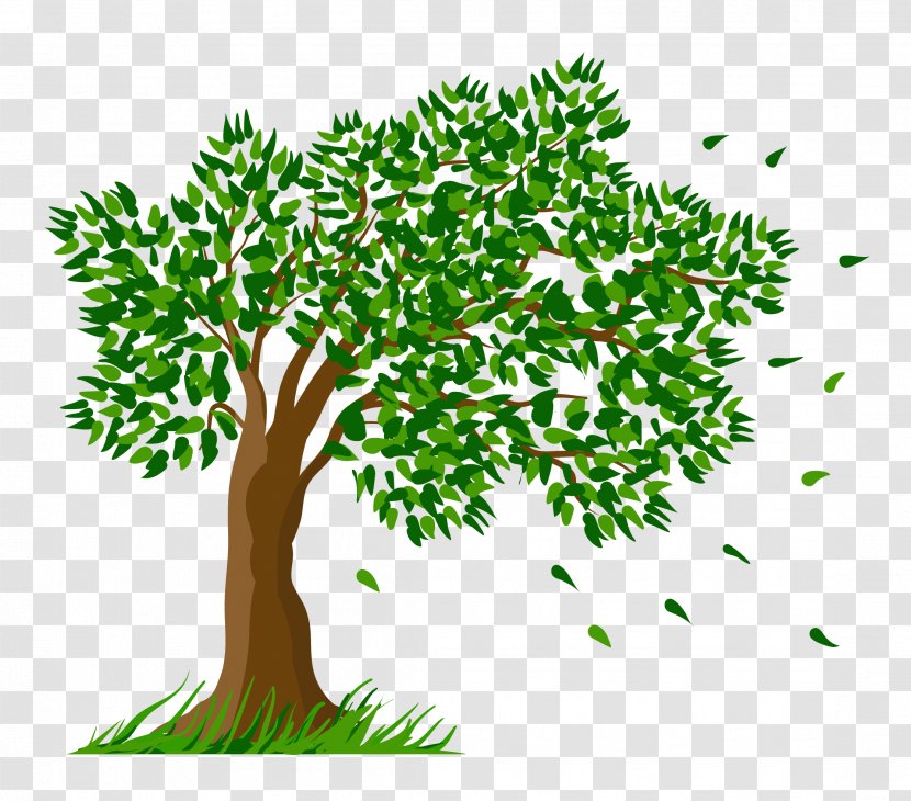 Tree Clip Art - Branch - Transparent Clipart Picture Transparent PNG