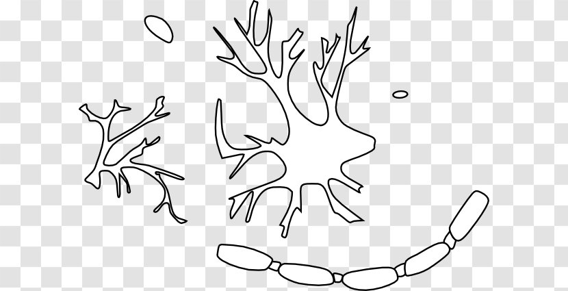 Clip Art Neuron Nervous System Image Cell - Cartoon - Nerve Transparent PNG