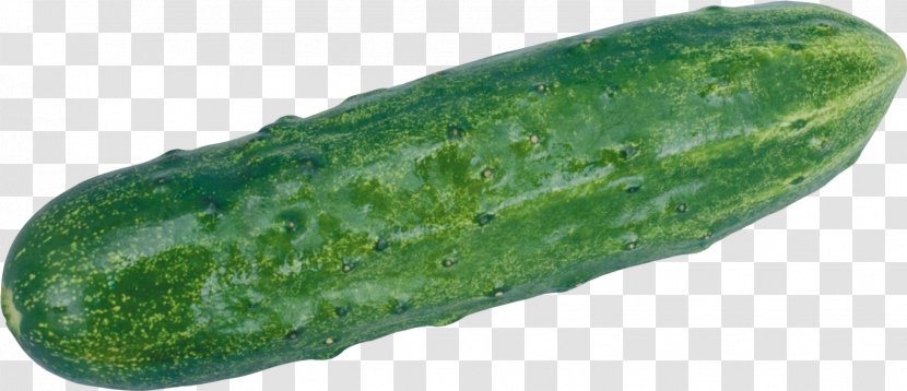 Pickled Cucumber Vegetable Clip Art - Gourd Transparent PNG