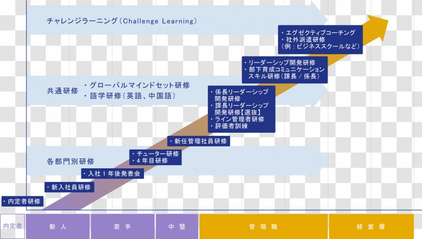 Organization Mitsui Chemicals 人材 化学品 Nagoya - Text - Career Information Transparent PNG